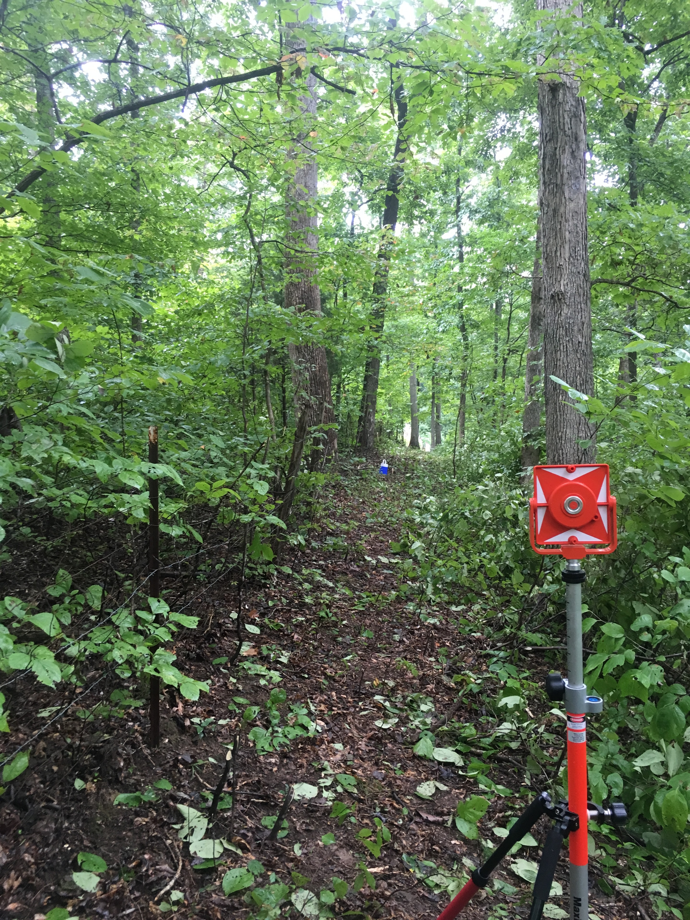 Survey site overview